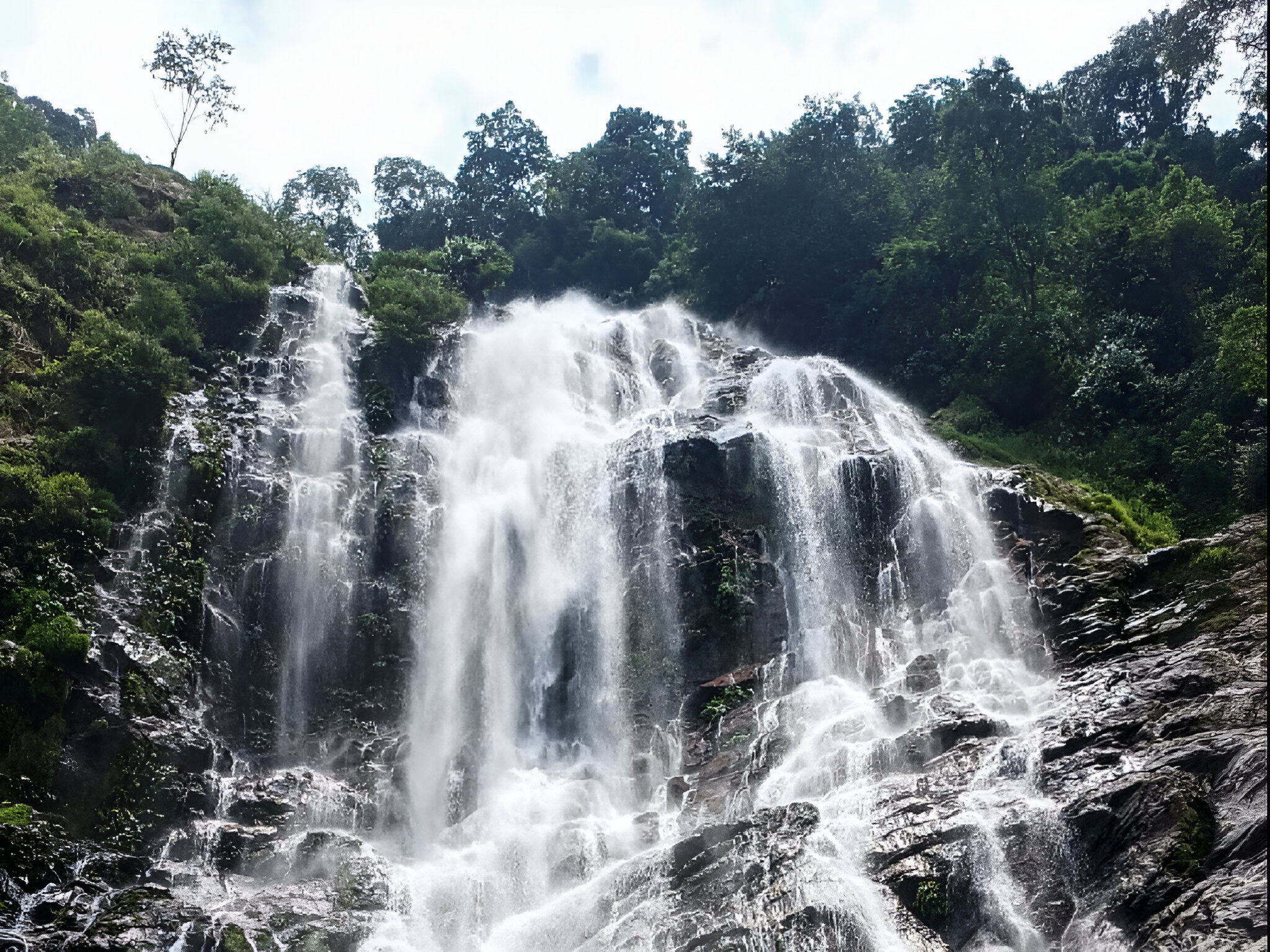 actividades de Naturaleza